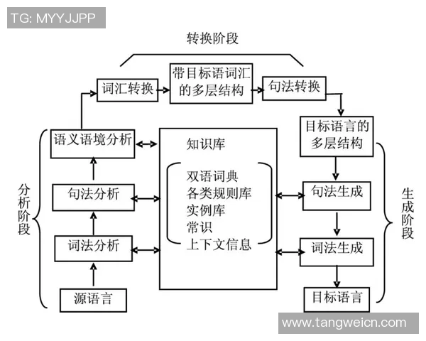 武汉飞盘队的意识与团队协作探讨及其对运动发展的影响分析